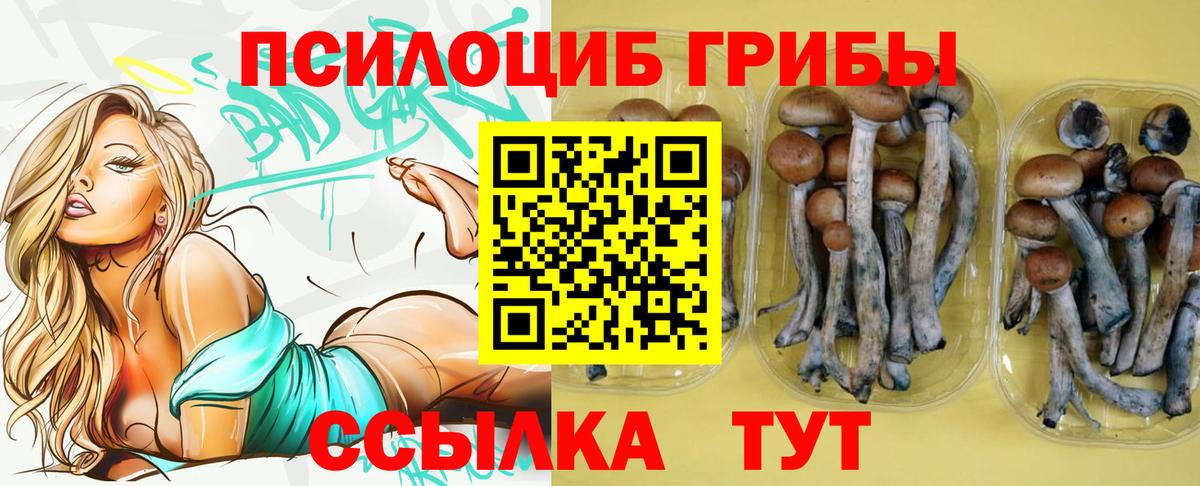 Жигулёвск  Галлюциногенные грибы ЛСД  Вход с VPN  Псилоцибиновые грибы прущие грибы 