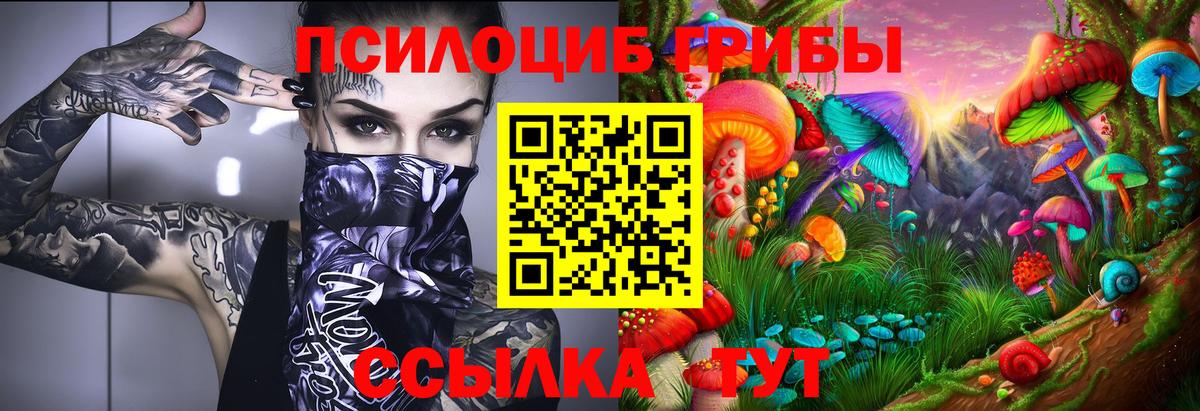 Галлюциногенные грибы Psilocybe Жигулёвск